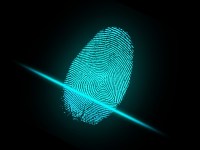 finger, fingerprint, security