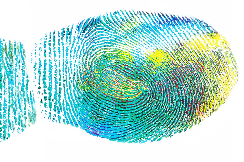 fingerprint, expression, creative skills