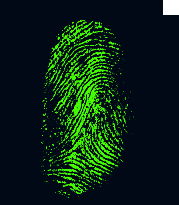 fingerprint, daktylogramm, papillary