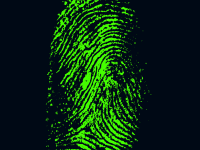 fingerprint, daktylogramm, papillary
