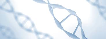 Veridos and Innovatrics partnership will provision DNA biometrics