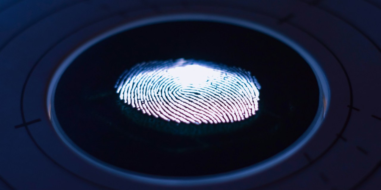Biometrics rated top fraud prevention tool, according to Regula study