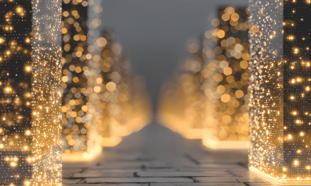 Maldives to launch smart ID cards, pillar of digital economy in 2026