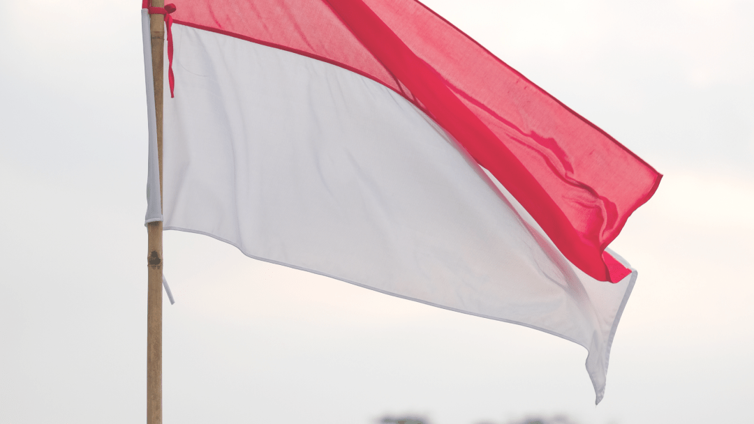 Indonesia announces international tender for liveness detection system to upgrade digital ID platform