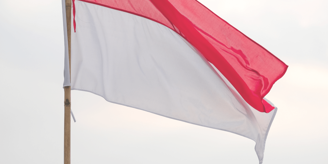 Indonesia announces international tender for liveness detection system to upgrade digital ID platform