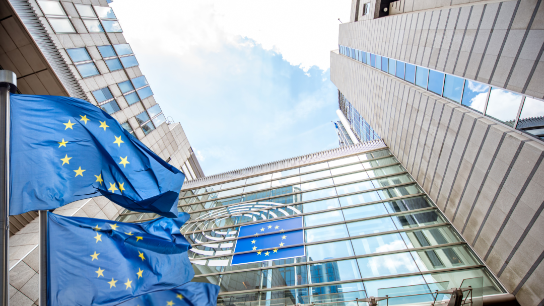 Rapporteur’s report about the EU Business Wallet
