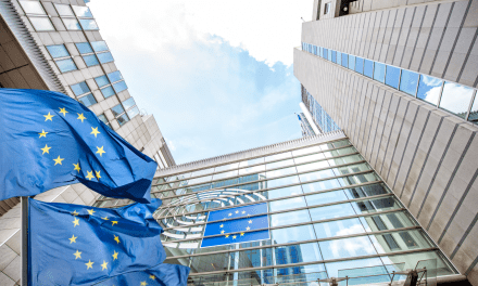 Rapporteur’s report about the EU Business Wallet