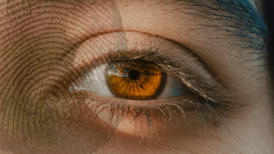 The data search across agencies enabled by the Home Office Biometrics Programme