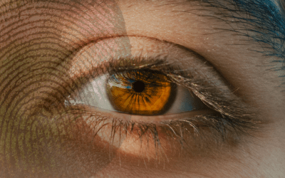 The data search across agencies enabled by the Home Office Biometrics Programme