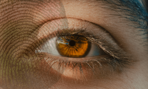 The data search across agencies enabled by the Home Office Biometrics Programme