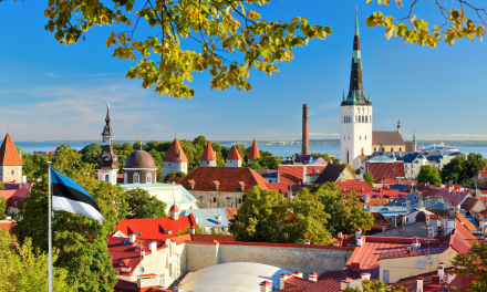 Estonia seeking stakeholder partner to build digital ID wallet