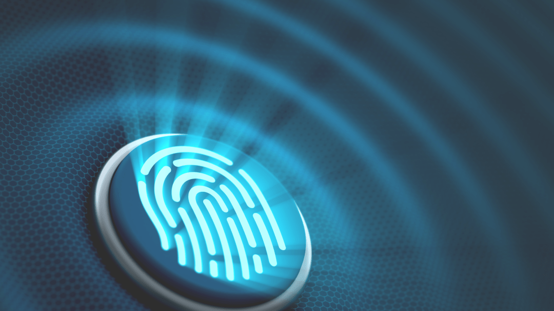 ROC achieves #1 global identification accuracy in NIST FRIF fingerprint evaluation for national ID and border control applications