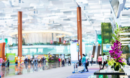 Inside the Changi Airport experience