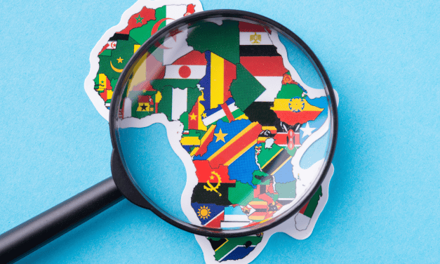 Developing countries provision DPI ecosystems without understanding governance issues